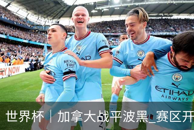 世界杯｜加拿大战平波黑 赛区开幕式表演“翻车”